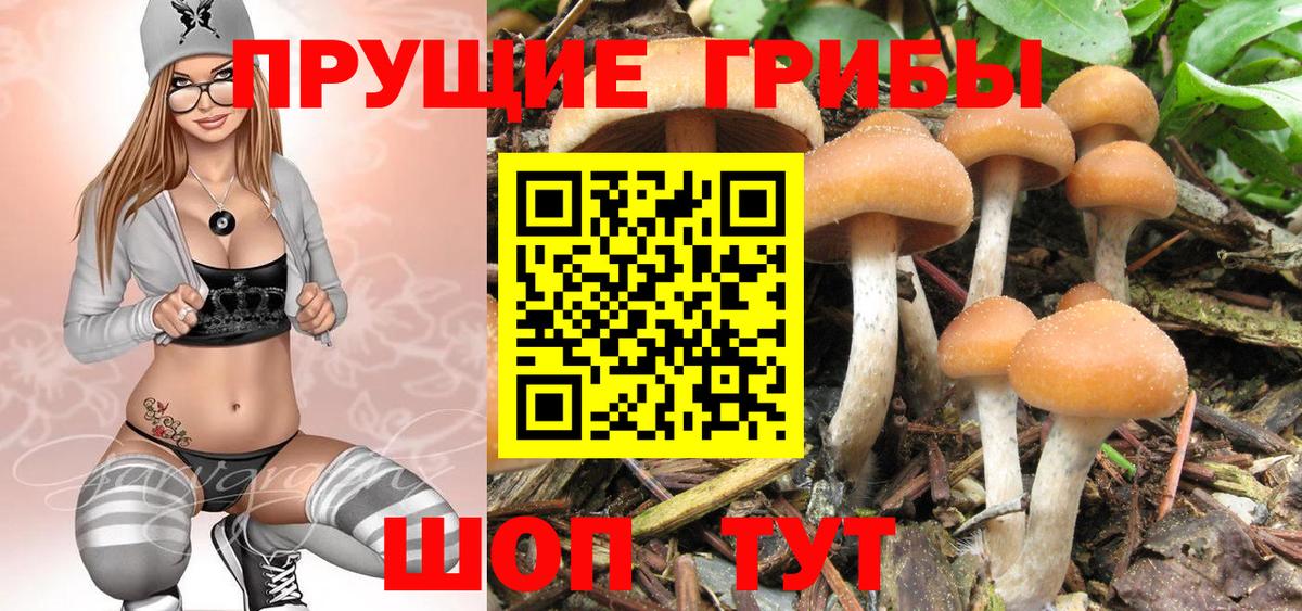Галлюциногенные грибы прущие грибы  Галлюциногенные грибы мицелий  Кушва  Вход с VPN 